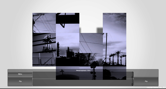 flip_image